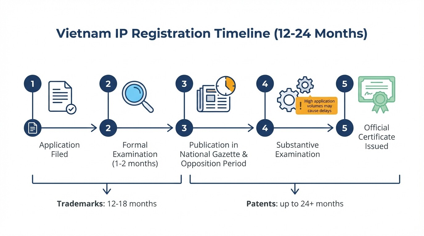 Timeline infographic showing the 12 to 24 month IP registration process in Vietnam