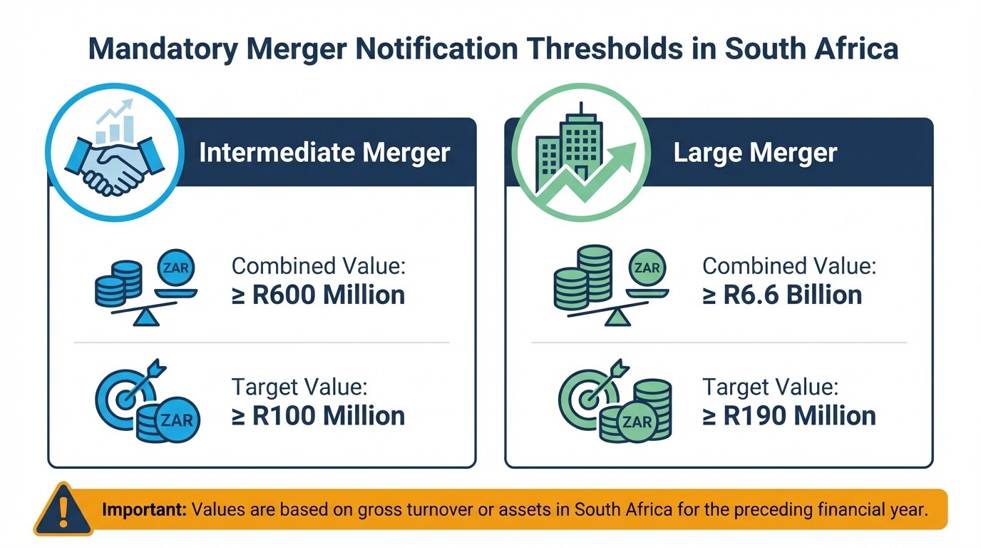 Comparison chart of financial thresholds for intermediate and large mergers in South Africa