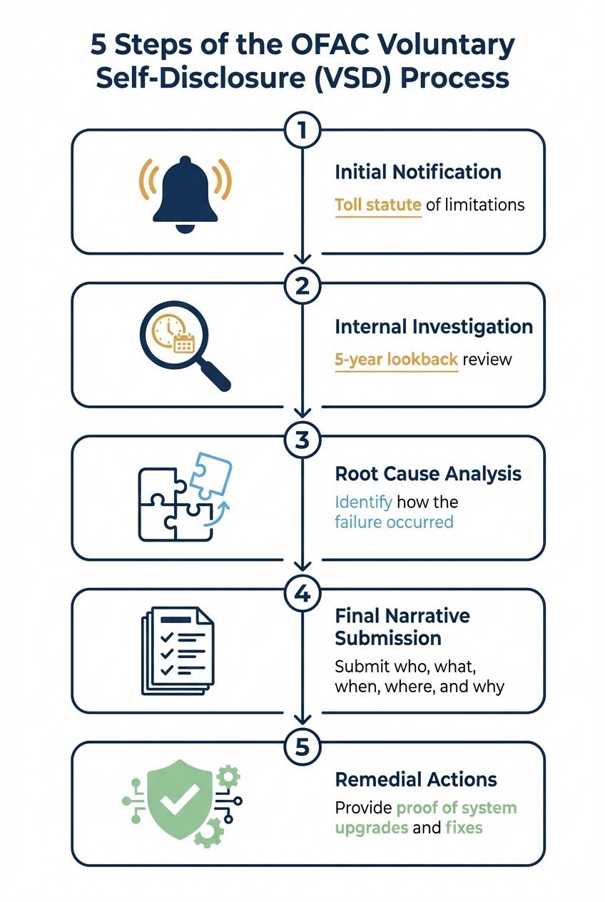 5-step infographic detailing the OFAC Voluntary Self-Disclosure timeline and process for financial institutions.