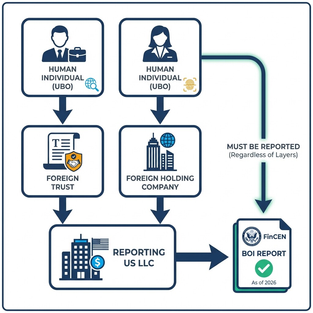 Corporate structure diagram tracing human beneficial owners through foreign entities to a US LLC