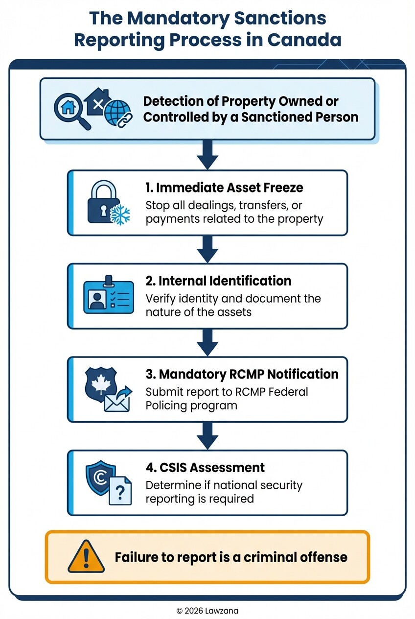 Flowchart outlining the 4-step reporting process for sanctioned transactions in Canada.