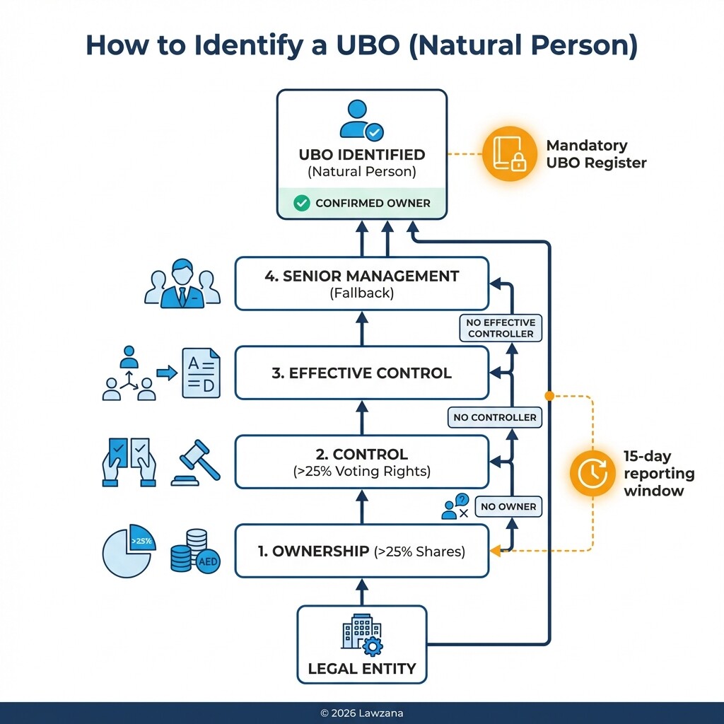 Diagram showing the hierarchy and criteria for identifying an Ultimate Beneficial Owner.