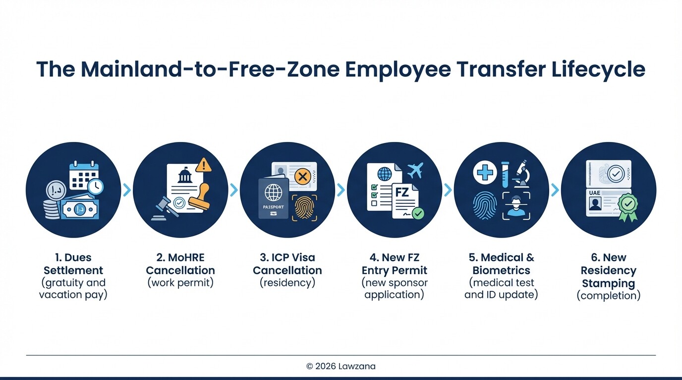 Infographic showing the 6 steps of the UAE visa cancel-and-rehire process