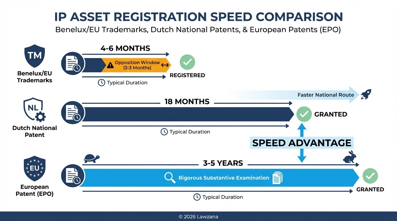 Timeline comparison of registration durations for trademarks and patents in the Netherlands.