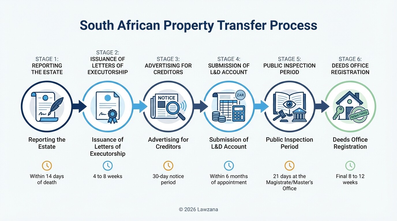 Timeline of the South African deceased estate property transfer process from reporting to registration
