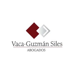 Vaca Guzmán Siles Abogados Logo