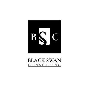 Black Swan Consulting