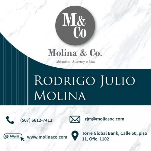 Molina & Co
