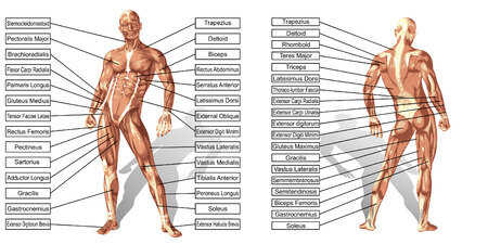 Mohammad Kreishan & Associates Law Firm