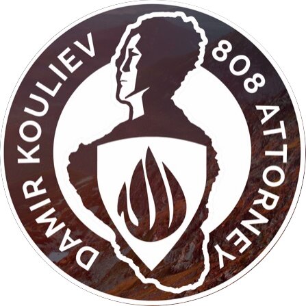 Damir Kouliev : Attorney & Counselor at Law