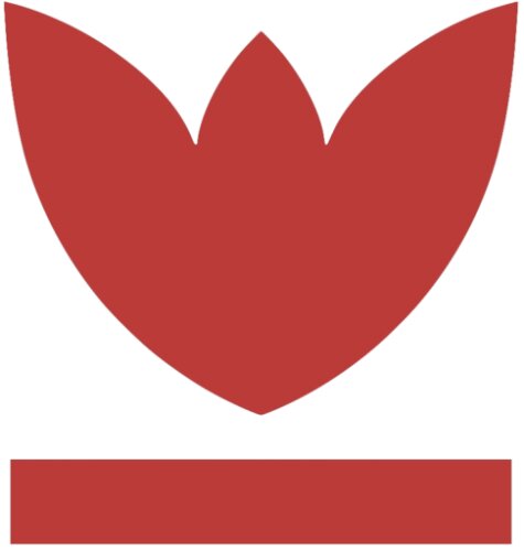 Estrafidus Immigration and Nationality Lawyers