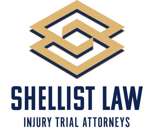Shellist Law Firm - Deer Park
