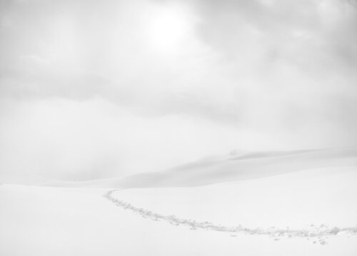 Aokihoshi Law Office