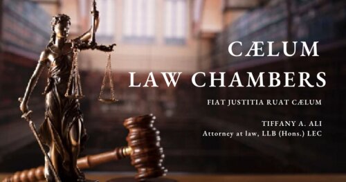 Tiffany Ali Attorney at Law