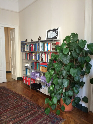 Studio Legale Avvocato Beltramo Alessandra