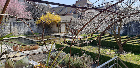 Avocat Steve Pillonel estavocat.ch