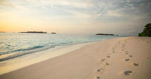 SPOOR60 Advocatuur Coaching Mediation