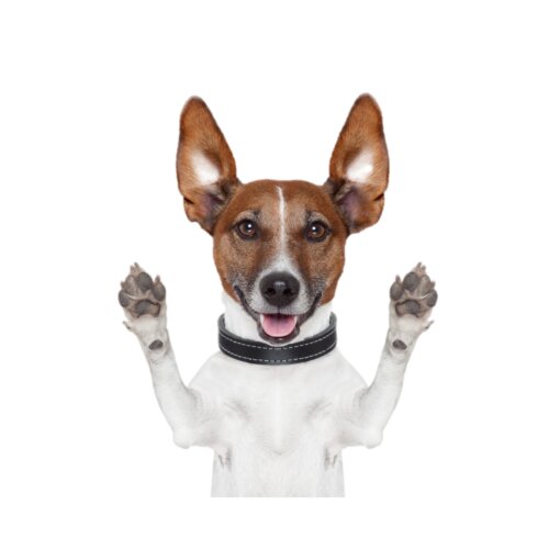 Goddard Dunbar & Associates LTD