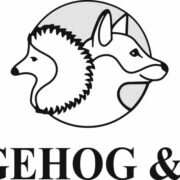 Hedgehog & Fox Law Firm | Best Litigation Lawyer In Mumbai | Best Criminal Lawyer, NCLT, Arbitration