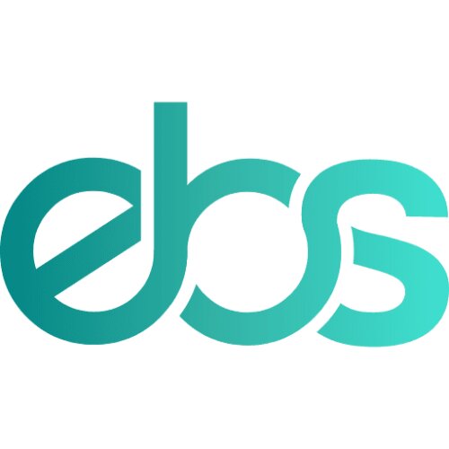 ebs Chartered Accountants