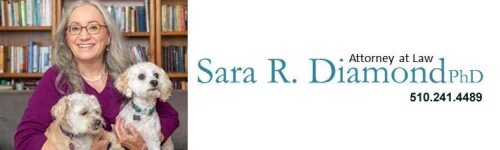 Law Office of Sara R. Diamond