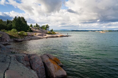 Williams Litigation North