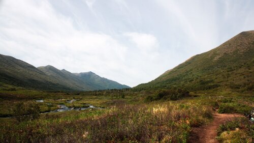 Phyllis Shepherd Law Firm