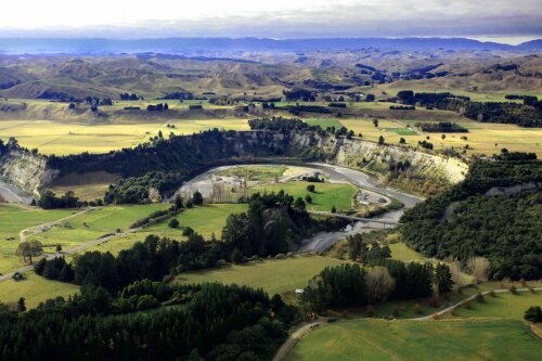 Evans Henderson Woodbridge