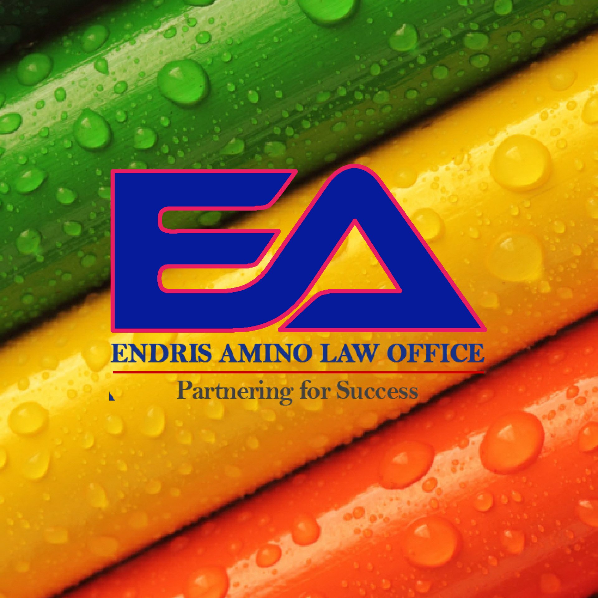 Endris Amino Law Office - ELO cover photo