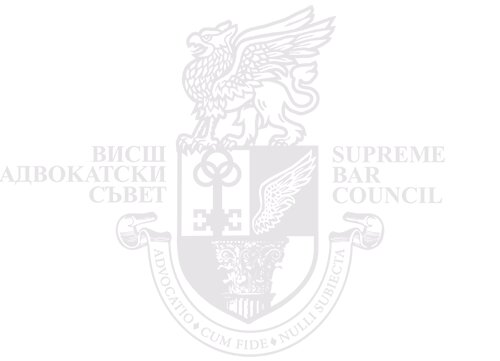 Lawyer Valentin Vassilev