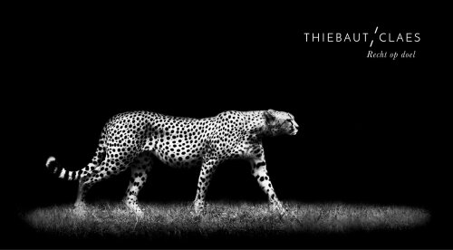 Thiebaut & Claes Advocaten