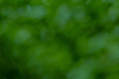 Francisco Pollos Abogado