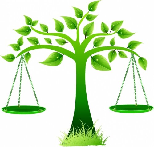 Law Office of Stacey Joroff, LLLC Kauai