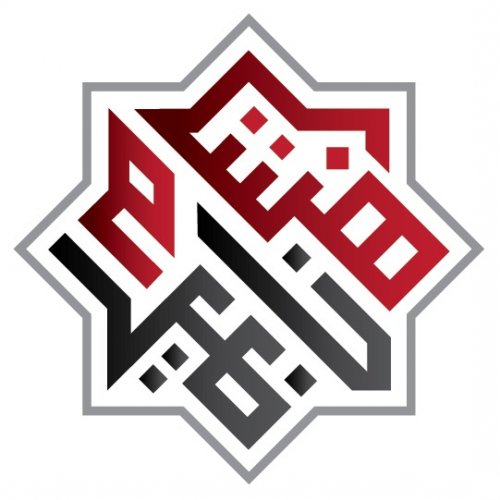 HISHAM NAZIR & CO Logo