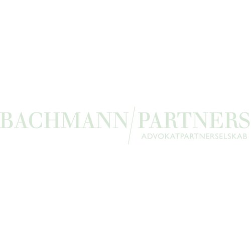 Bachmann & Partners Logo