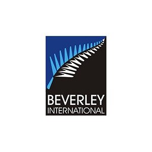 Beverley International Group Logo