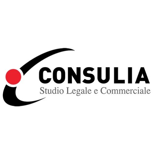 CONSULT Legal and commercial firm Logo