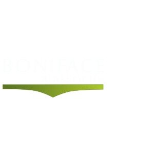 Boniface & Associés Logo