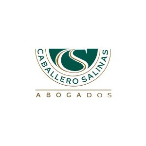 Caballero Salinas ABOGADOS