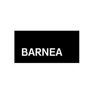 Barnea Law Firm Logo